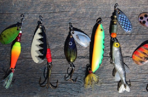 Tips Memilih Umpan pancing